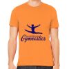 Unisex Jersey T-Shirt Thumbnail