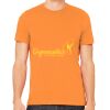 Unisex Jersey T-Shirt Thumbnail