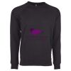 Next Level Apparel Unisex Raglan Sweatshirt Thumbnail