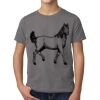 Next Level Youth CVC Short Sleeve Crew Thumbnail