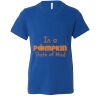 Bella Canvas Youth Unisex Jersey Tee Thumbnail