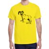 Adult Heavy Cotton™ T-Shirt Thumbnail