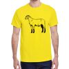 Adult Heavy Cotton™ T-Shirt Thumbnail