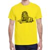 Adult Heavy Cotton™ T-Shirt Thumbnail