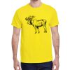 Adult Heavy Cotton™ T-Shirt Thumbnail