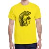 Adult Heavy Cotton™ T-Shirt Thumbnail