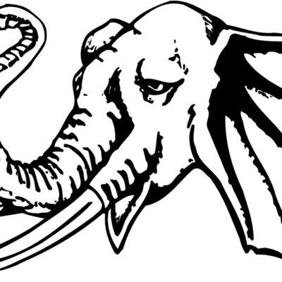 Elephants Thumbnail
