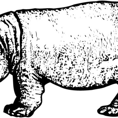 Hippo Thumbnail